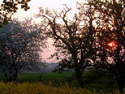 Coucher de soleil.jpg